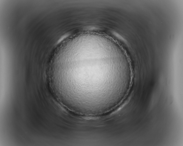 X0000083981305200703091815