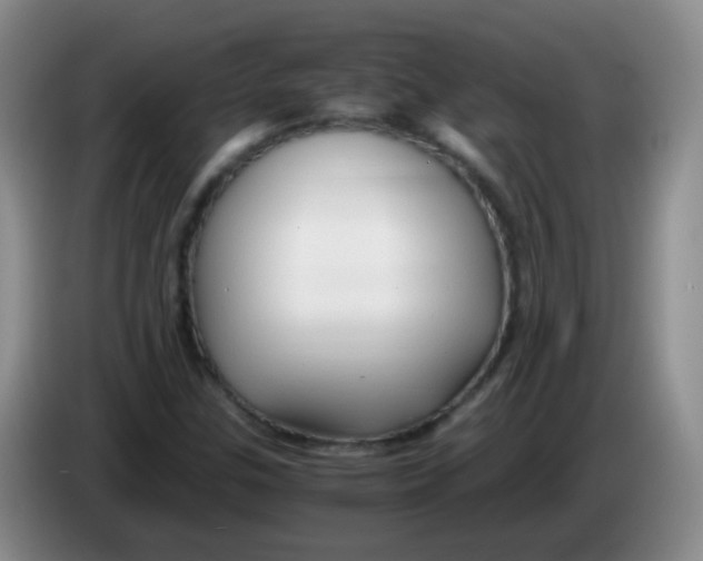 X0000083981307200703091815