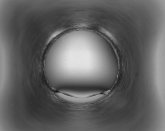 X0000083981308200703091815