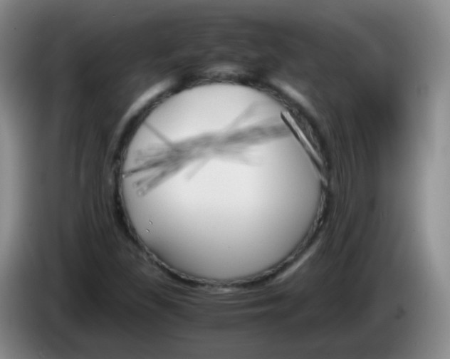 X0000083981309200703091815