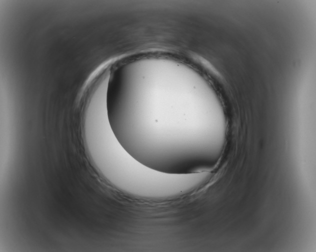 X0000083981310200703091815