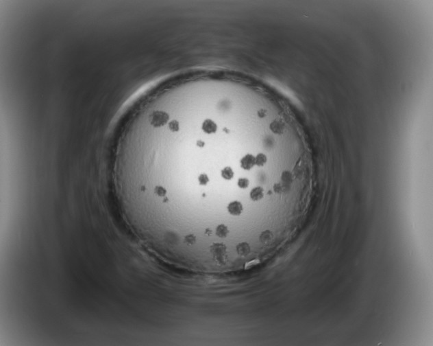 X0000083981311200703091815