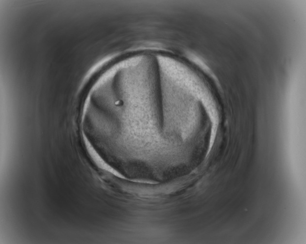 X0000083981312200703091815