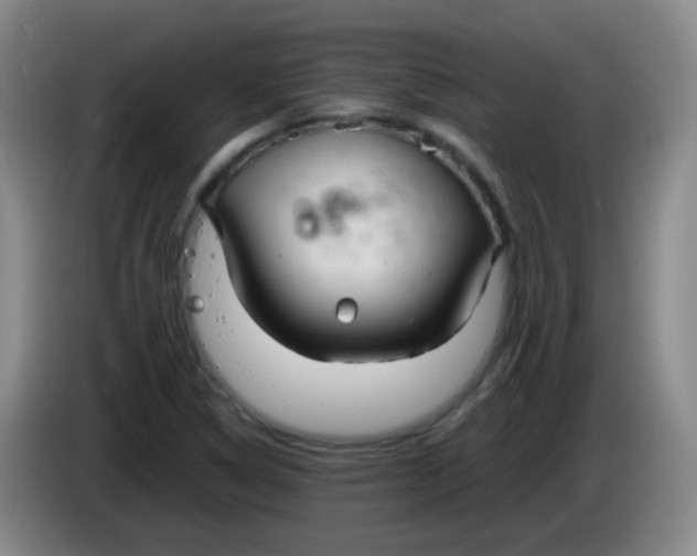 X0000083981314200703091815