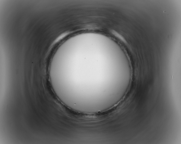 X0000083981315200703091815