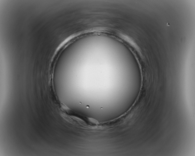 X0000083981316200703091815