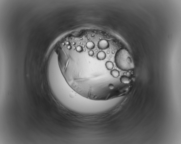 X0000083981318200703091815