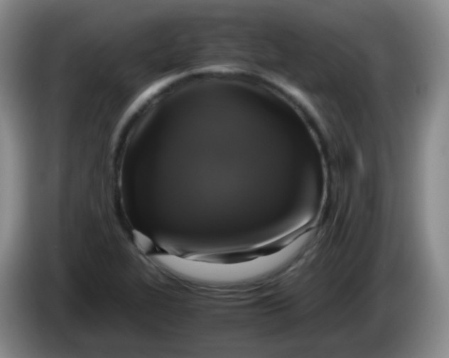 X0000083981319200703091815