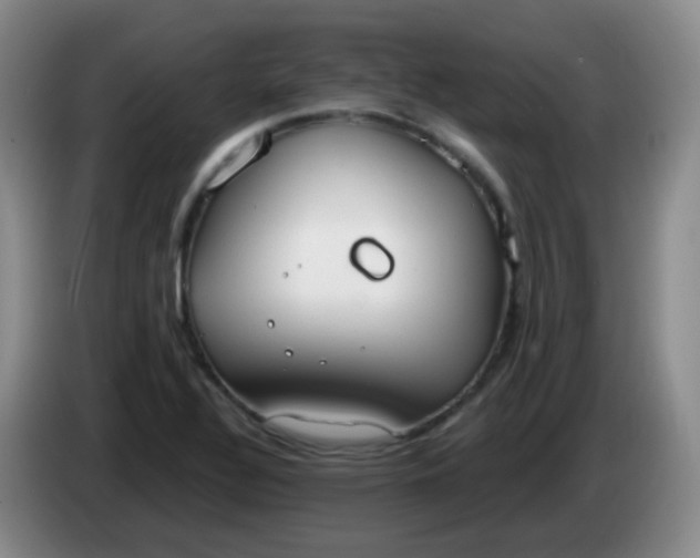 X0000083981320200703091815