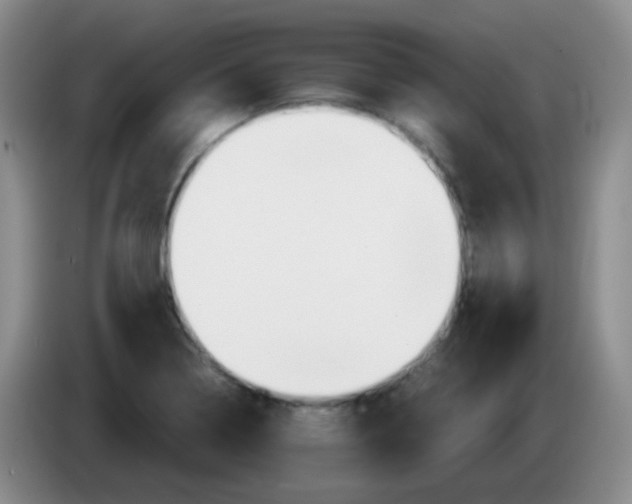 X0000083981322200703091815