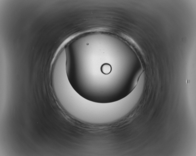 X0000083981324200703091815