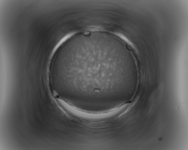 X0000083981325200703091815