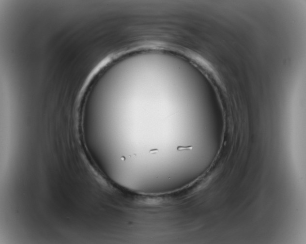 X0000083981326200703091815