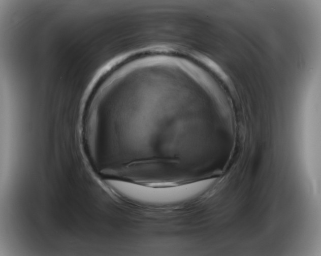 X0000083981327200703091815