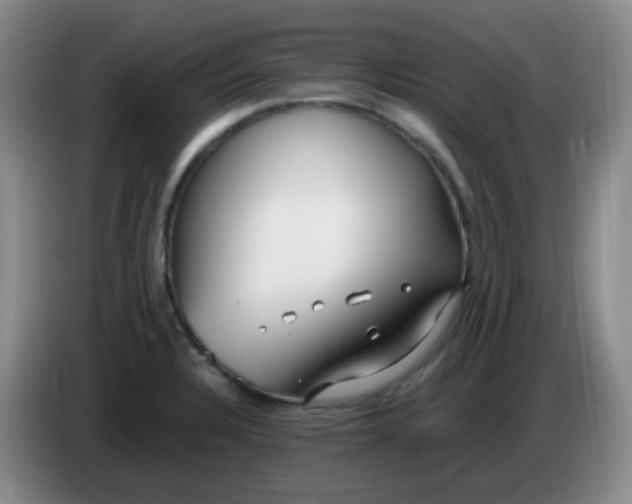 X0000083981328200703091815