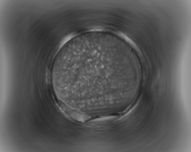 X0000083981329200703091815