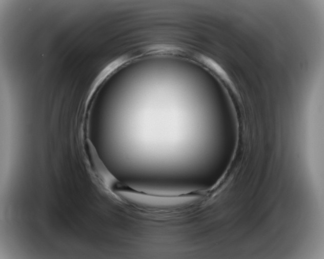 X0000083981330200703091815