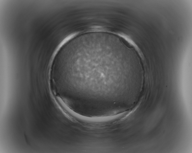 X0000083981333200703091816