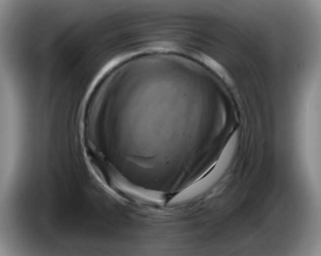 X0000083981334200703091816