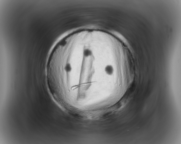 X0000083981335200703091816