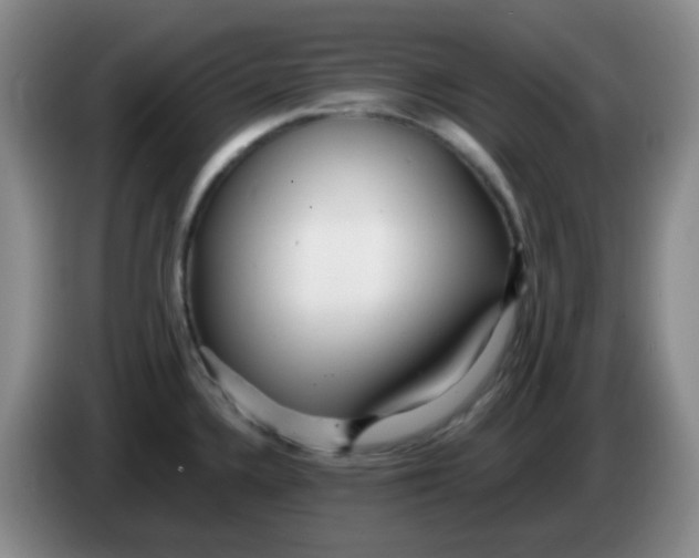 X0000083981336200703091816