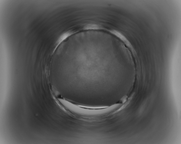 X0000083981337200703091816