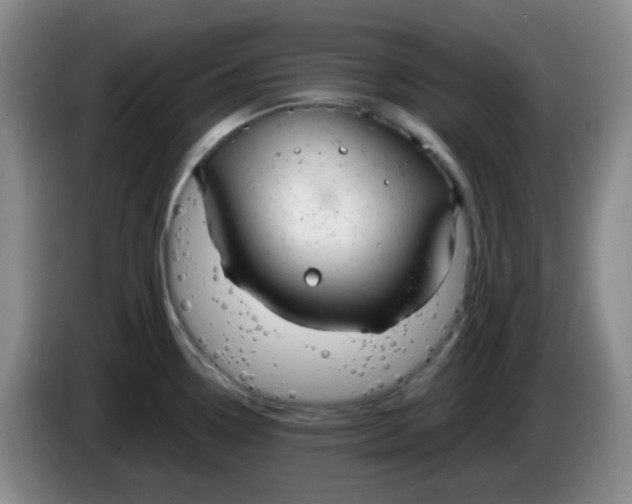 X0000083981338200703091816