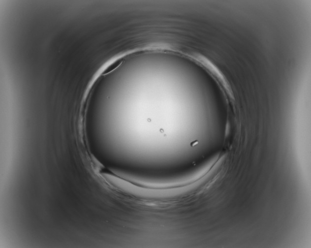 X0000083981340200703091816