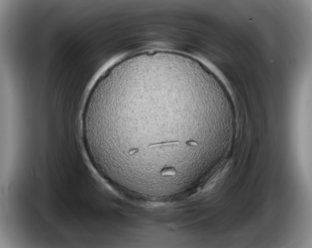 X0000083981341200703091816