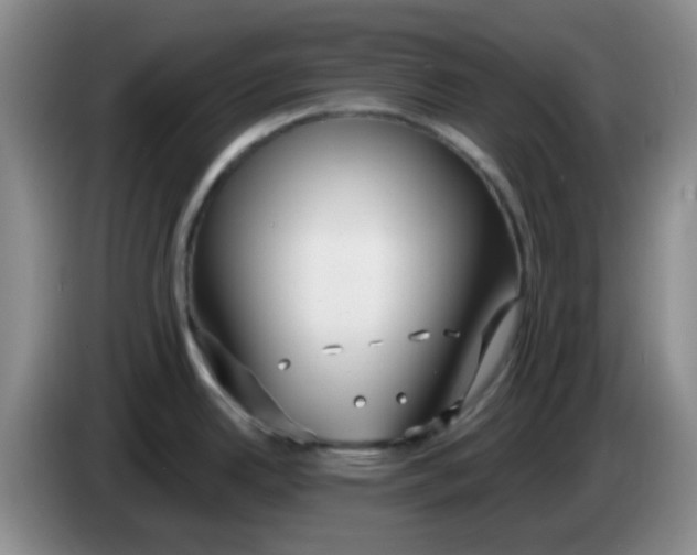 X0000083981342200703091816