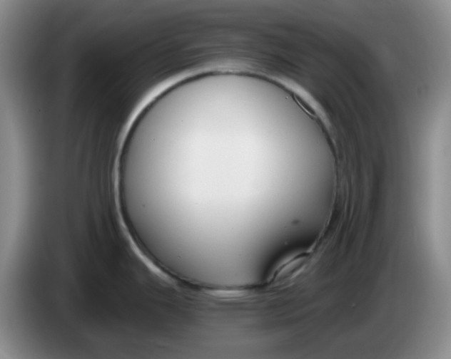 X0000083981343200703091816