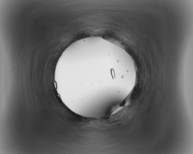 X0000083981345200703091815