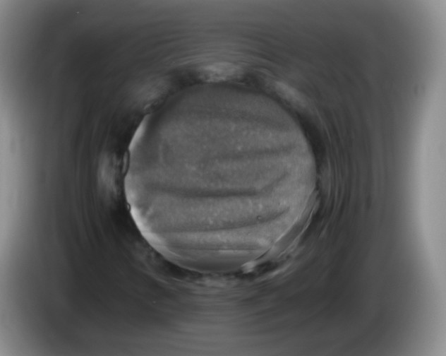 X0000083981346200703091815