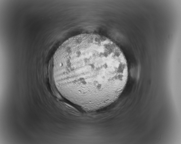 X0000083981347200703091815