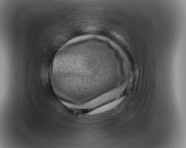 X0000083981348200703091815