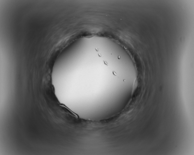 X0000083981349200703091815