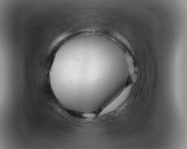 X0000083981352200703091815