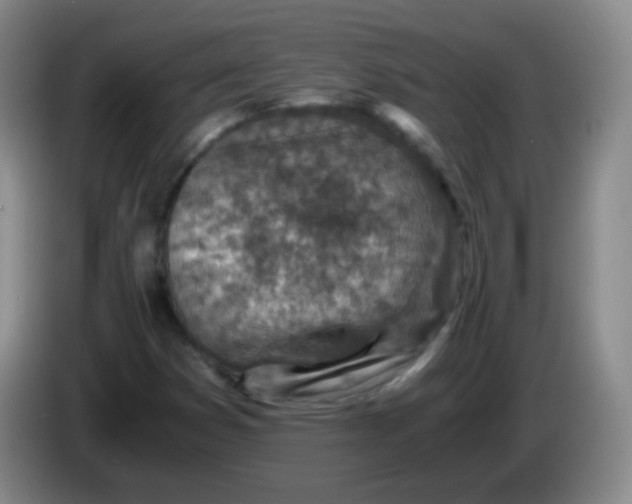 X0000083981353200703091815