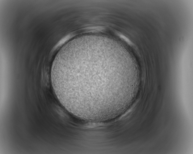 X0000083981354200703091815