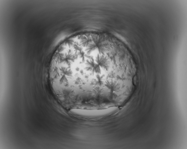 X0000083981355200703091815