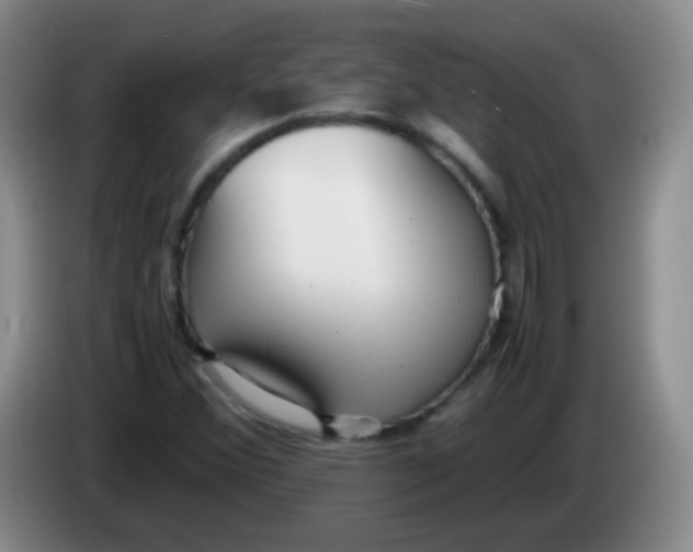 X0000083981356200703091815