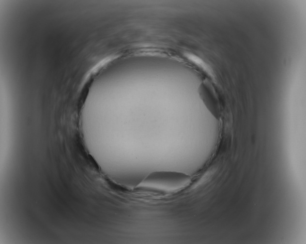 X0000083981357200703091815