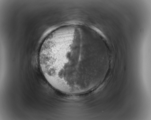 X0000083981358200703091815