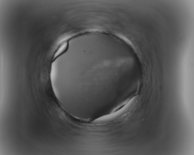 X0000083981359200703091815