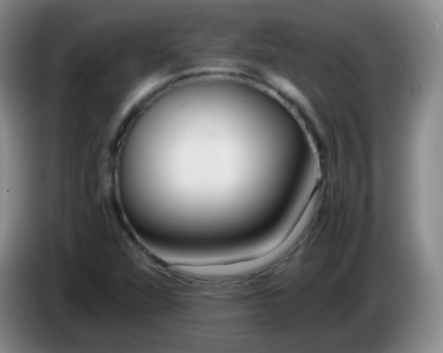 X0000083981360200703091815