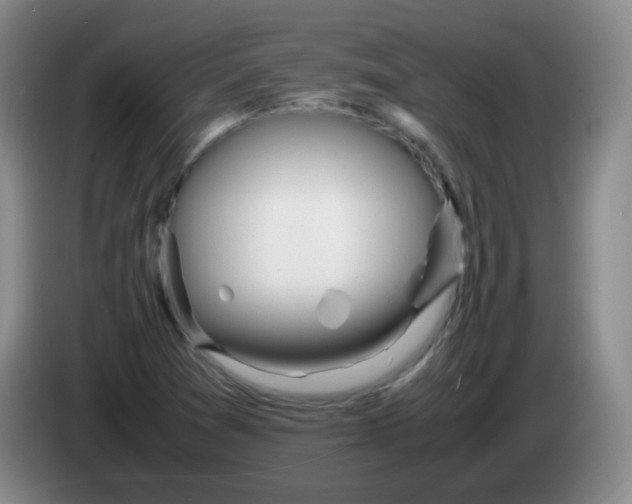 X0000083981361200703091815