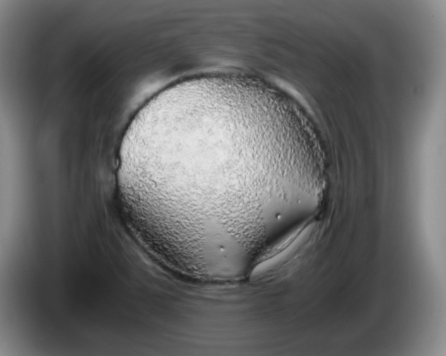 X0000083981363200703091815