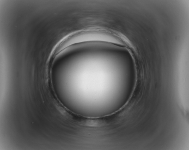 X0000083981364200703091815