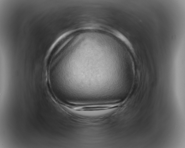 X0000083981368200703091815