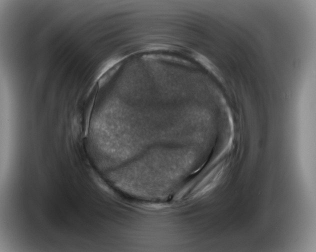 X0000083981369200703091815